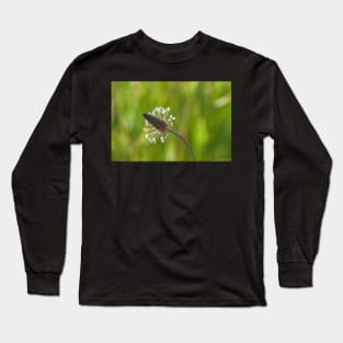 Plantago Long Sleeve T-Shirt